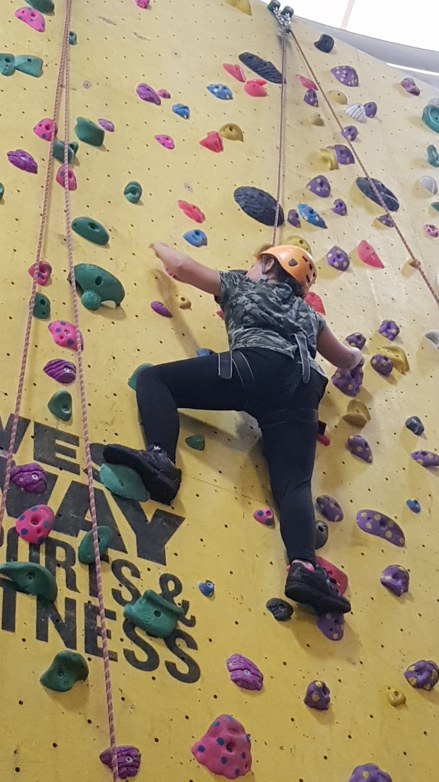 20180809 142730 (Large)